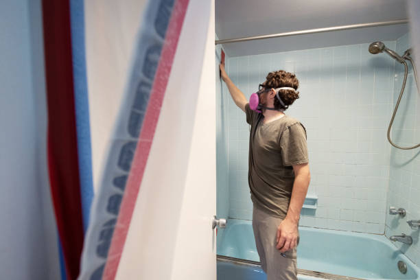 Best Black Mold Removal  in Canaan, CT