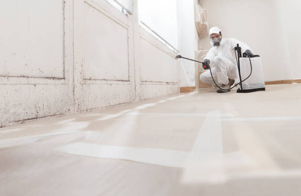Asbestos and Lead Testing During Mold Inspection in Canaan, CT